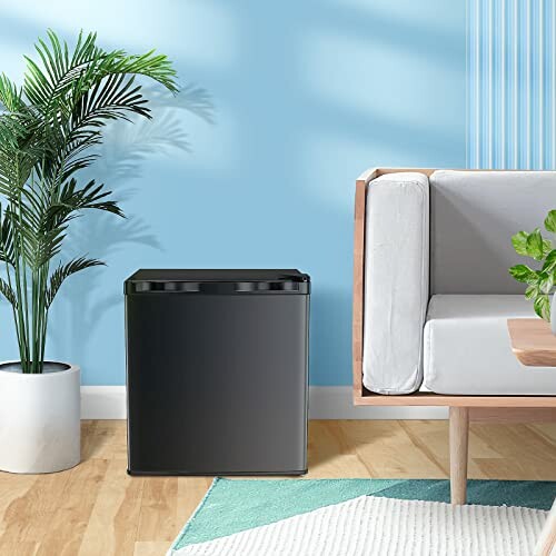 Modern living room with black trash can, potted plant, and sofa.